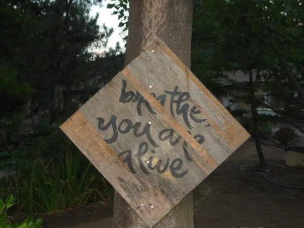 A hand-painted board nailed to a tree at Deer Park, reading “breathe you are alive”